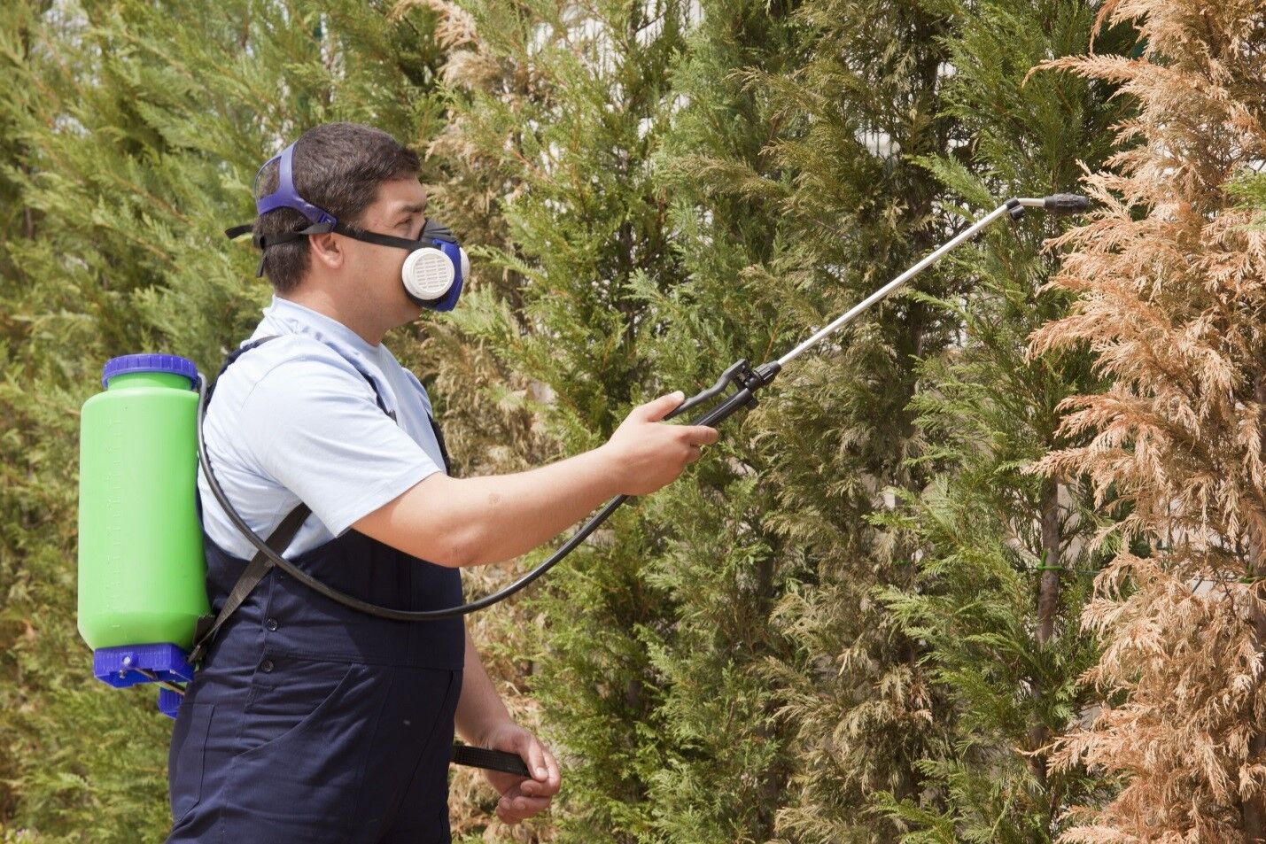 April Is National Pest Management Month