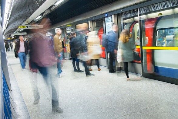 Pests on Public Transportation